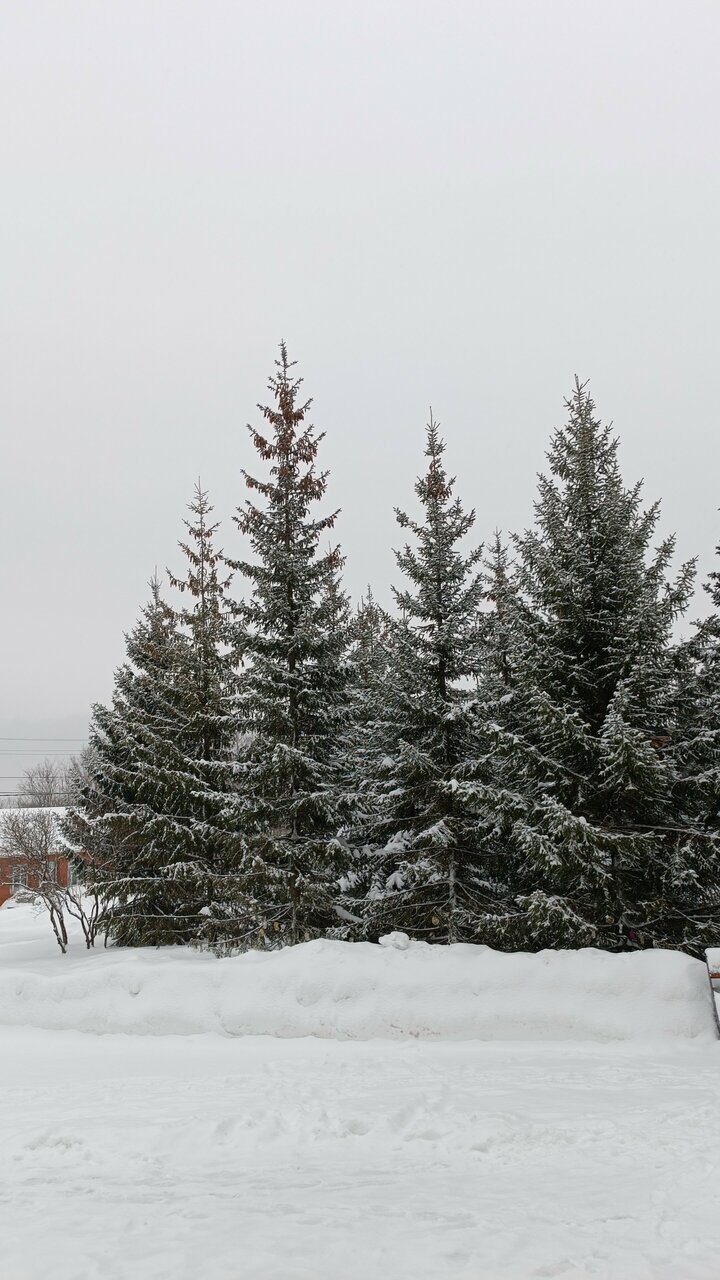 Санаторий Радуга Уфа-249