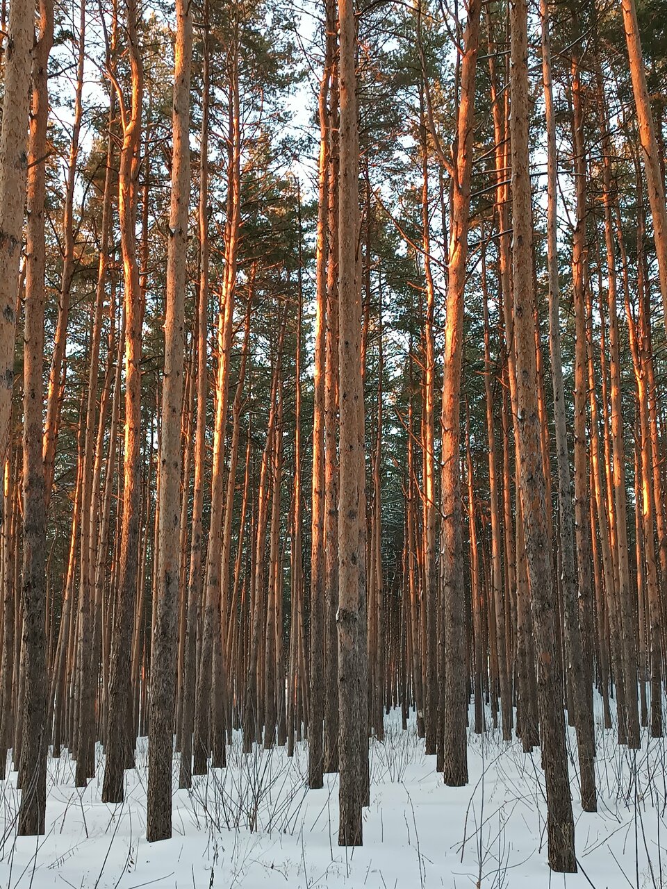 Санаторий Радуга Уфа-232