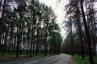 Санаторий Радуга Уфа 4-местный номер люкс-10